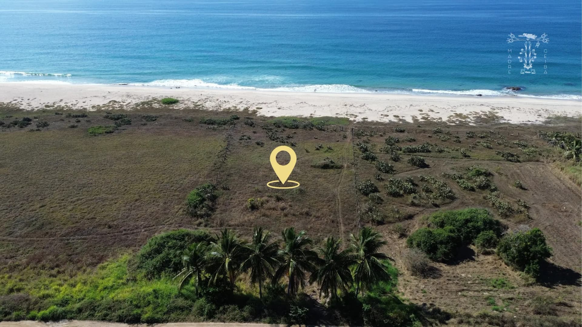 Beachfront Land Lot Puertecito