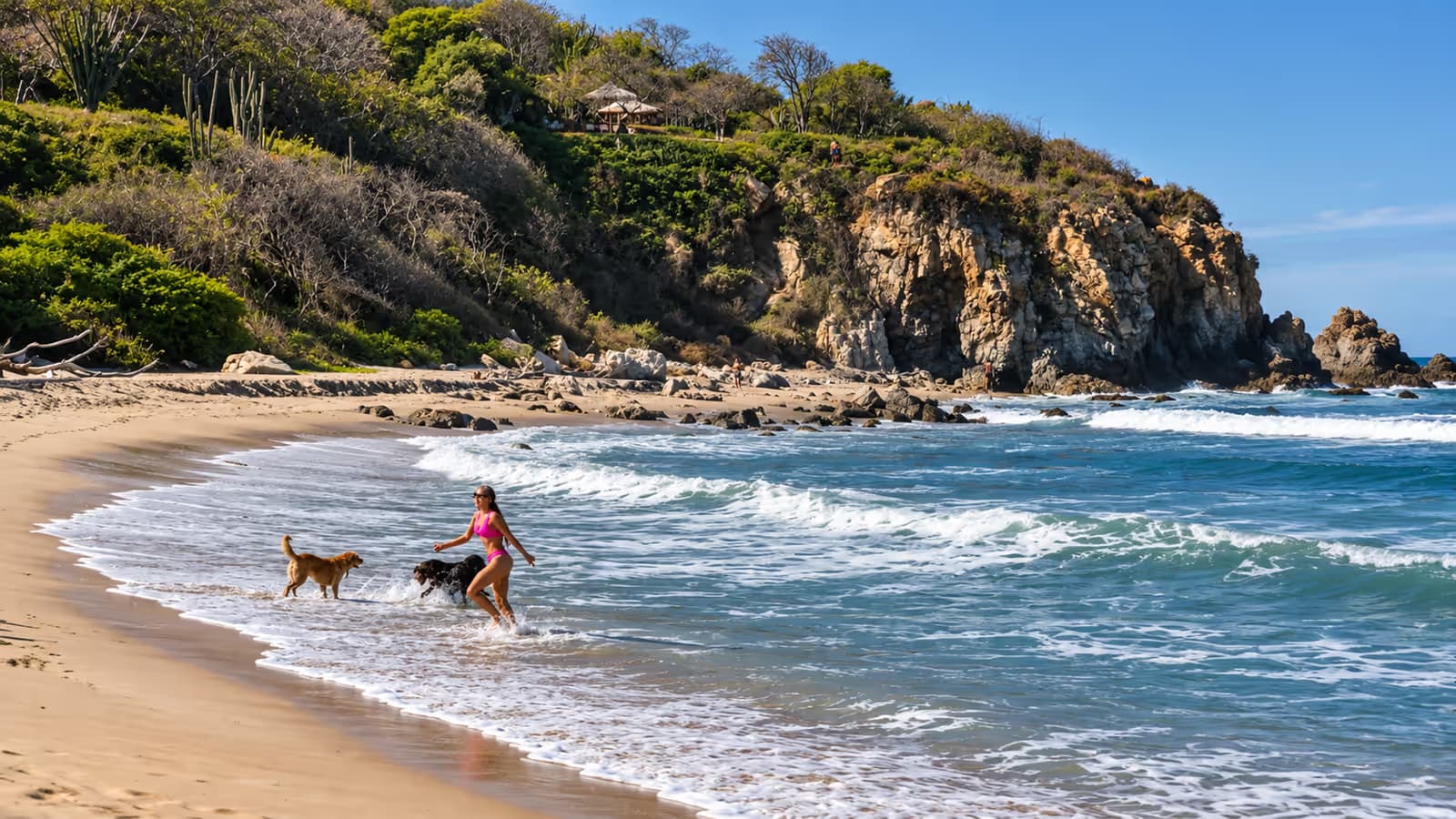 Mujer corriendo por la orilla del mar con dos perros, frente a un acantilado con vegetación