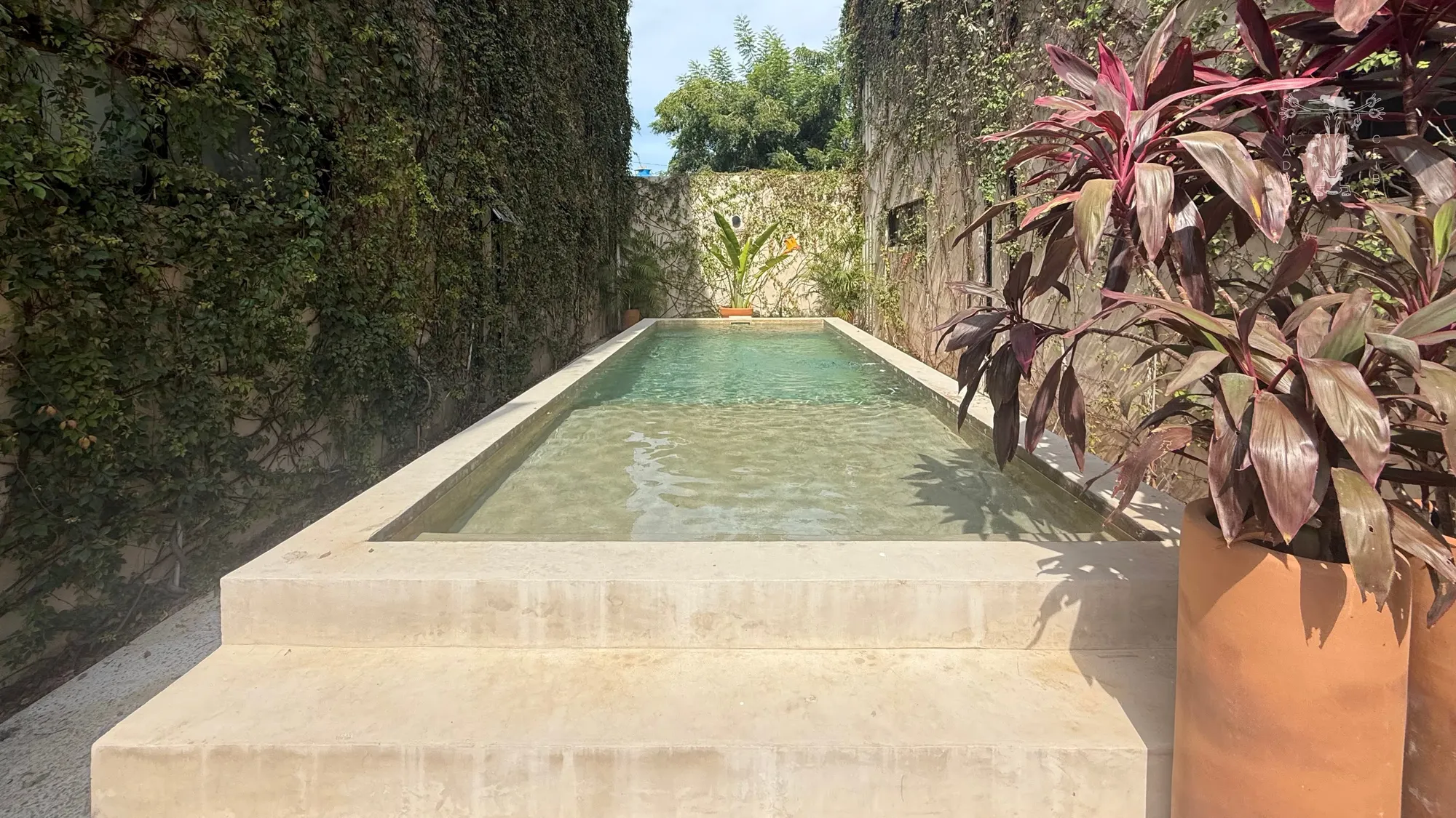 Casa México - 5