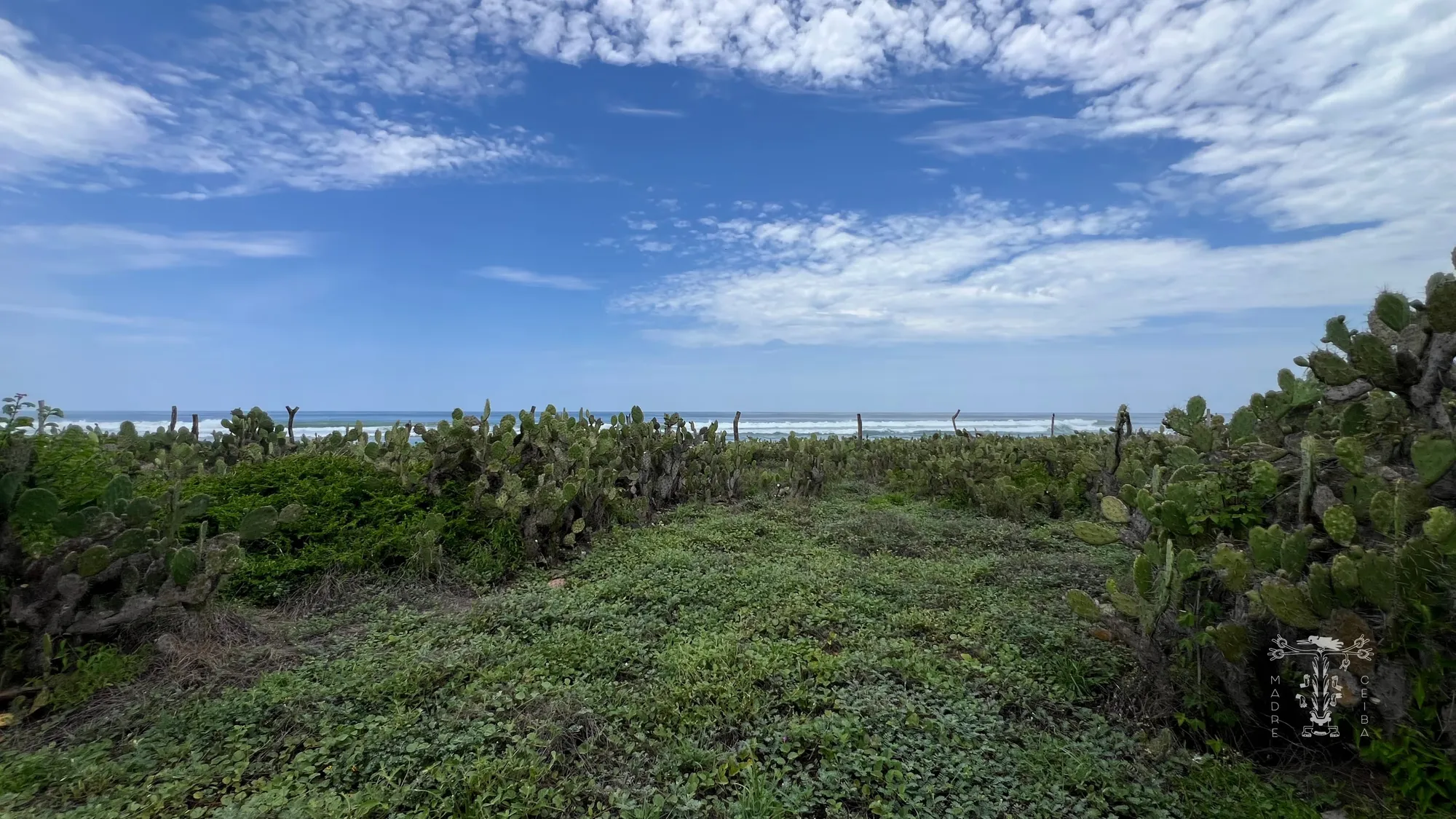 Terreno Beachfront Plataforma - 5