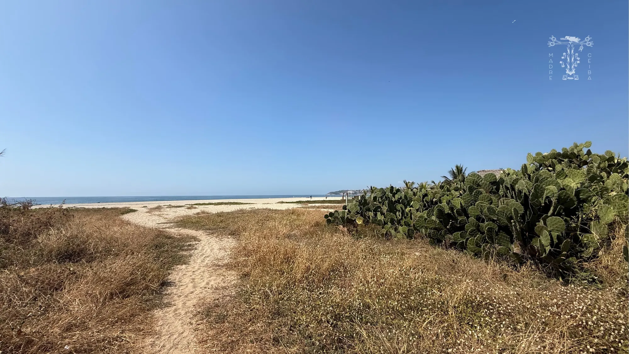 Terreno Beachfront Zicatela - 4