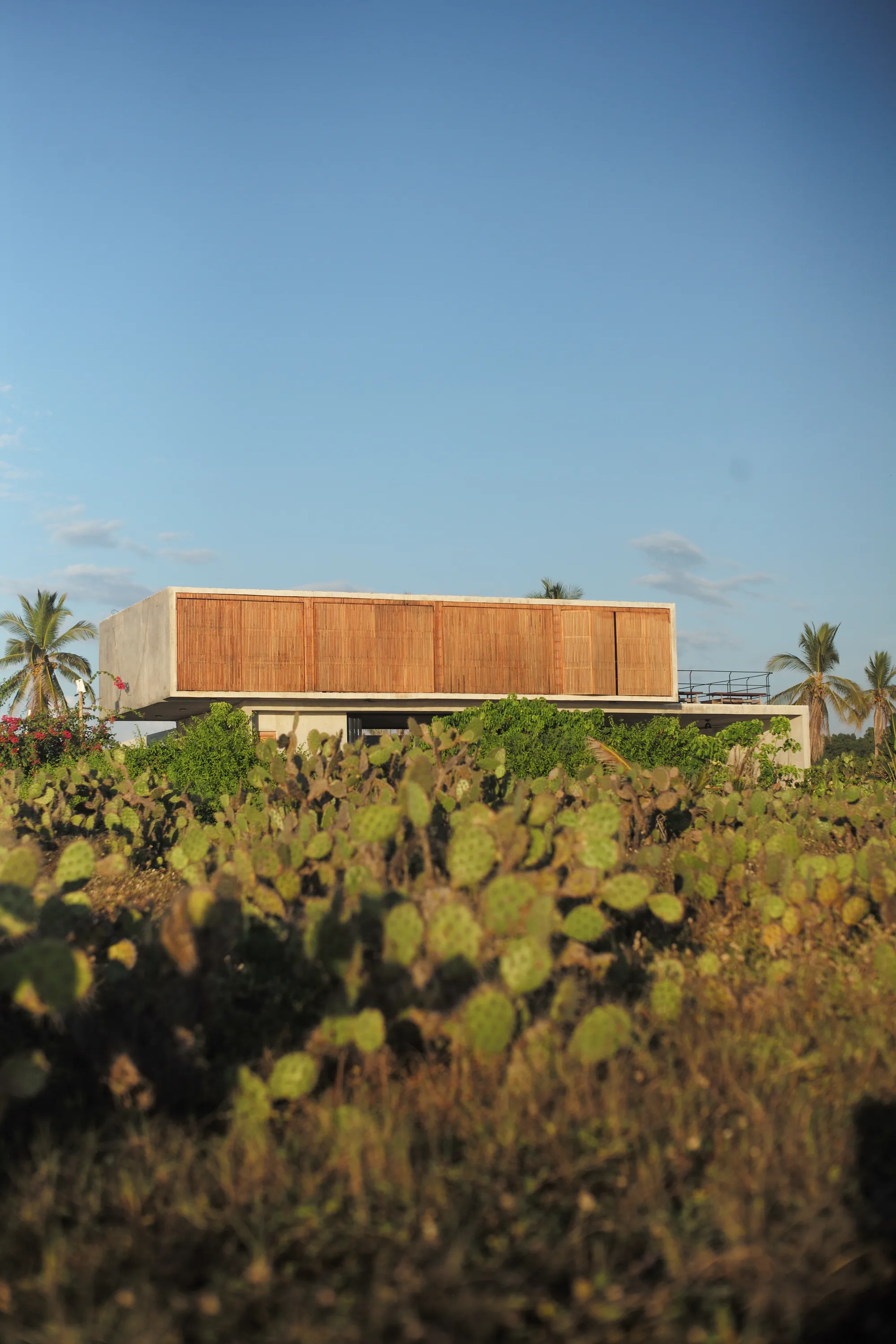 Casa Cabeza de Tortuga - 4